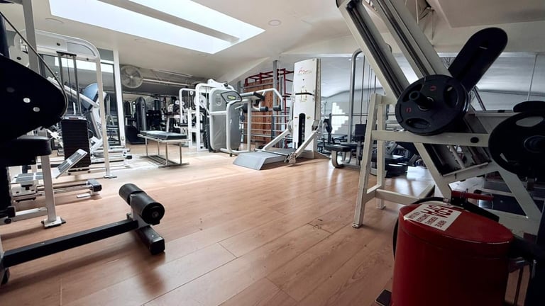 Modern gym interior with wooden flooring, exercise equipment, mirrors, and skylights overhead